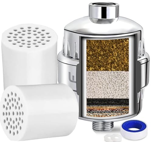 Heavy Duty Shower Filter (2 Count)