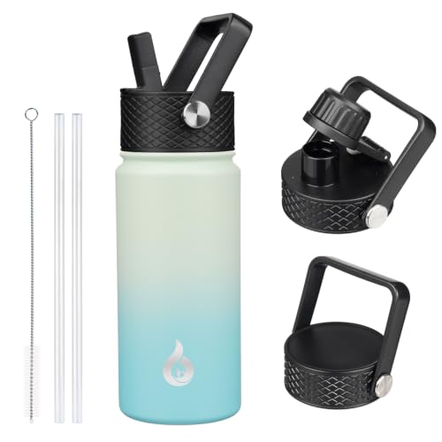 18oz Insulated Water Bottle with Straw Lid