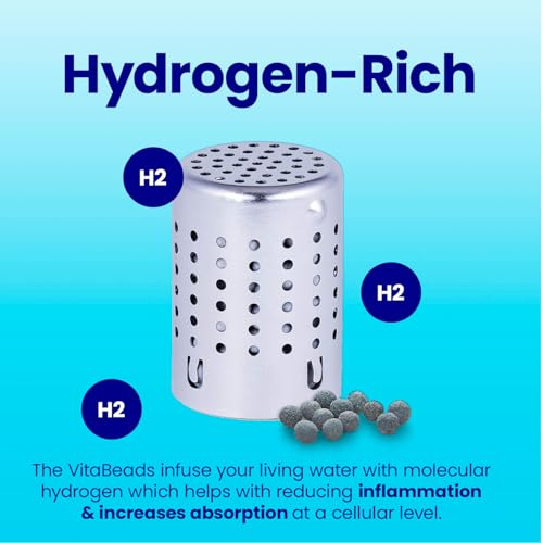 DYLN VitaBead Diffuser Hydrogen Water Generator Replacement 1 Pack