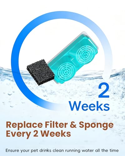 Official Replacement Filters for 3.2L
