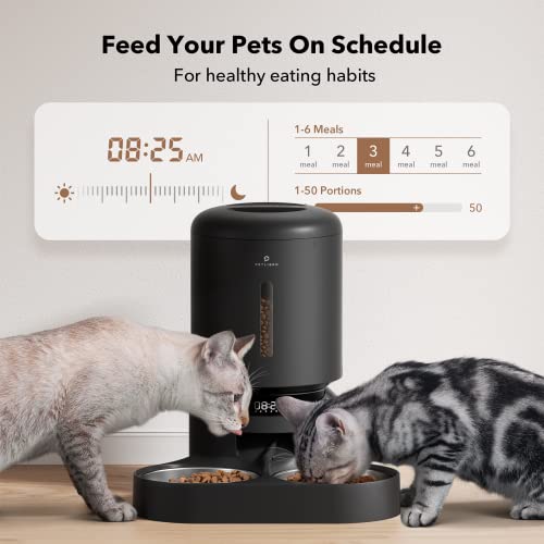 Automatic Cat Feeder