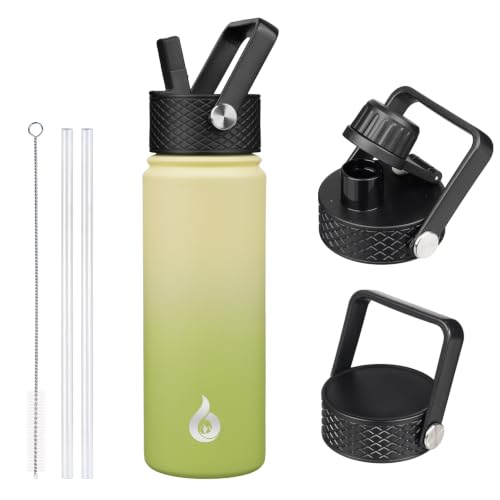 22oz Insulated Water Bottle with Straw Lid