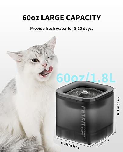 Eversweet Solo SE Cat Water Fountain 65oz