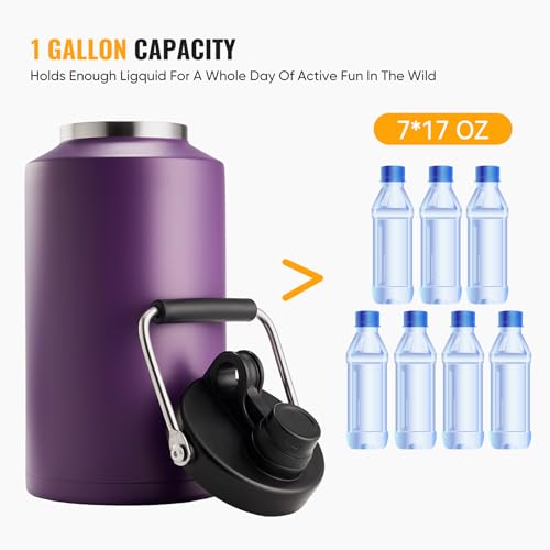 Insulated Gallon Jug with Handle