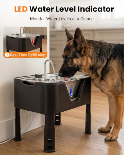 3.17Gal 12L Large Dog Water Fountain Elevated Dog Bowls with 3 Filters (405.82 Fl Oz)