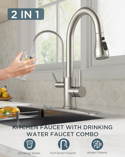 Kitchen Faucet with Purified Water