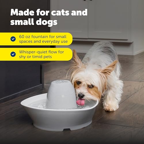 Creekside Ceramic Pet Fountain