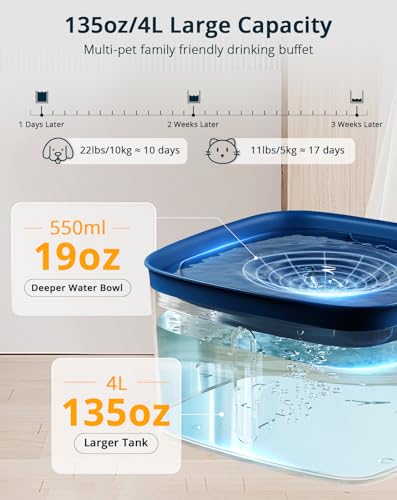 Cat Water Fountain
