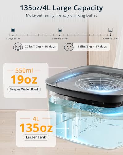 Cat Water Fountain
