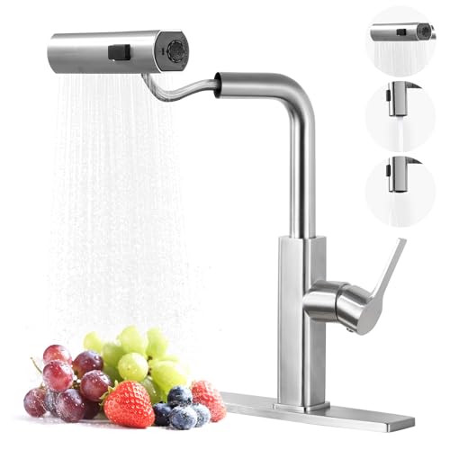 Kitchen Faucet with Pull Down Sprayer