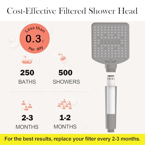 Filtered Shower Head with Handheld