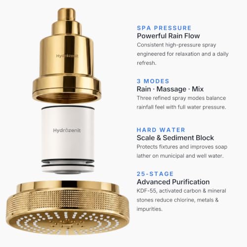 Filtered Shower Head Gold