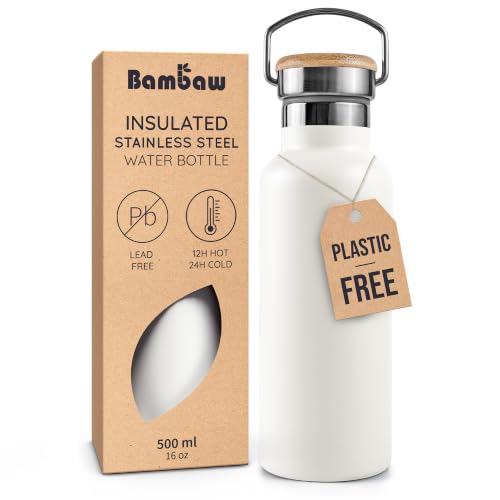Insulated Water Bottle 16 oz