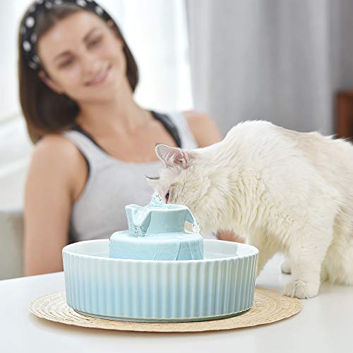 360 Ceramic Pet Fountain (70 Fl Oz)