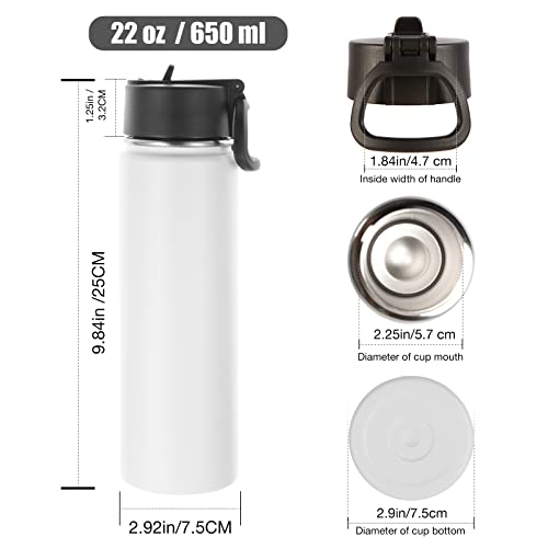 22 oz Insulated Water Bottles with Straw Lid