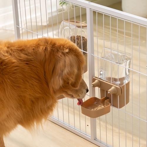 50oz Rabbit Water Dispenser
