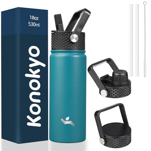 18 oz Insulated Stainless Steel Water Bottle with Straw Lid