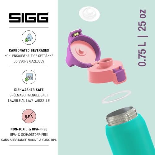 Insulated Water Bottle