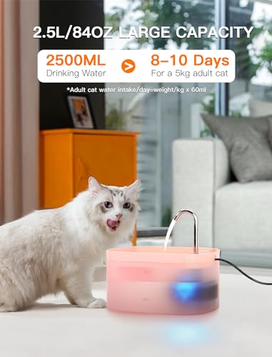 Cat Water Fountain