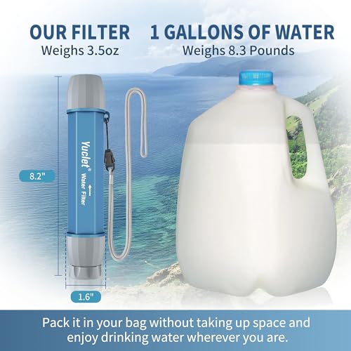 Emergency Water Filter Straw for Survival (2 Count)