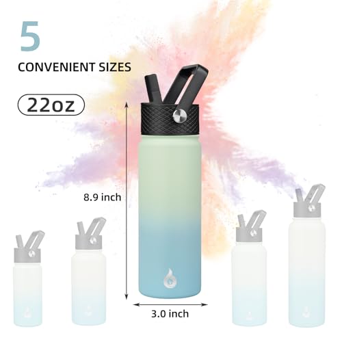 22oz Insulated Water Bottle with Straw Lid