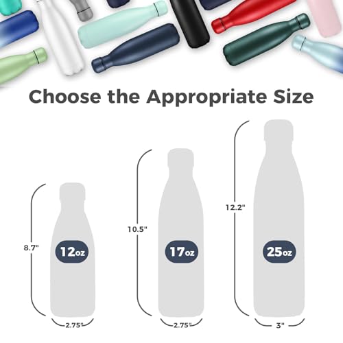 17oz Insulated Stainless Steel Water Bottle