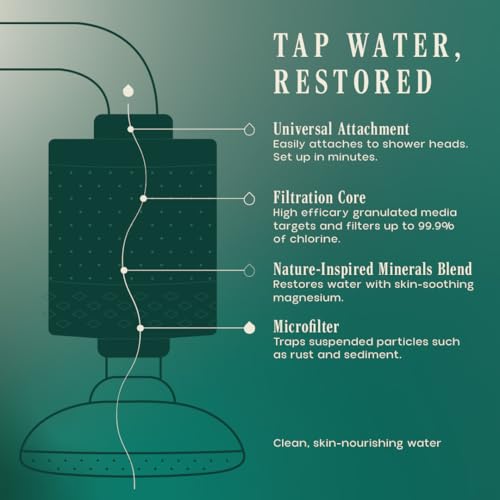 Refillable Showerhead Filter