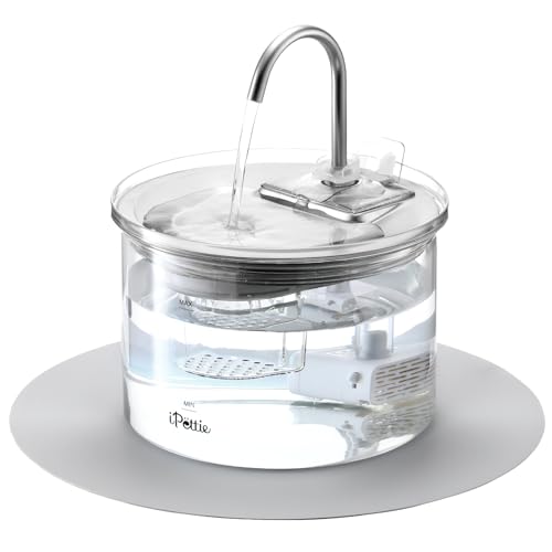 Glass Cat Water Fountain