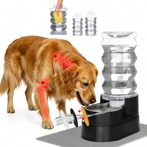 8L Elevated Dog Water Dispenser