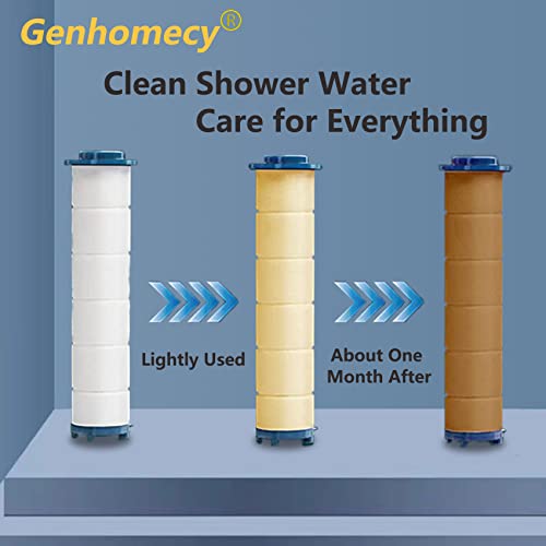 Spray Shower Head Filter with Mineral Beads (6 Count)
