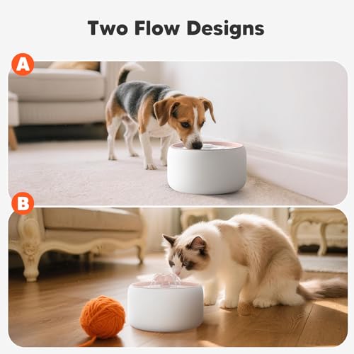 Wireless Cat Water Fountain