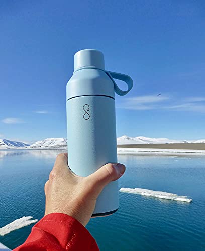 Original 17oz Stainless Steel Water Bottle