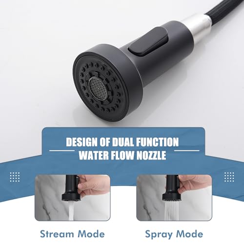 Black and Gold Kitchen Faucet with Pull Down Sprayer