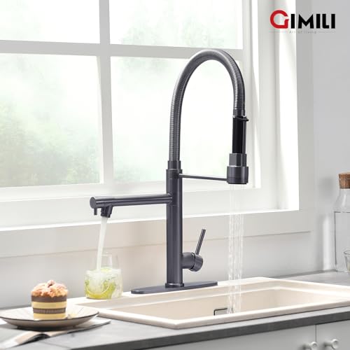 Black Stainless Kitchen Faucet with Pull Down Sprayer Dual