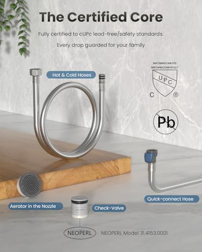 Black Kitchen Faucet with Water Filter