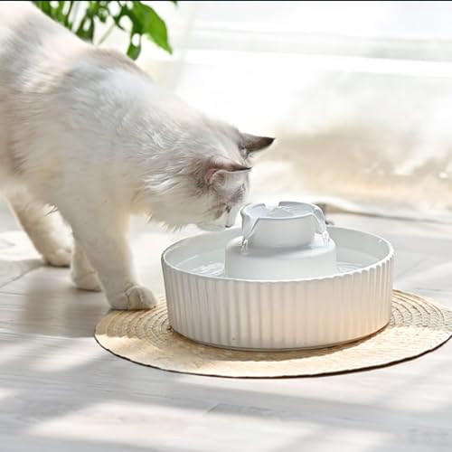 Pet Drinking Fountain (70 Fl Oz)