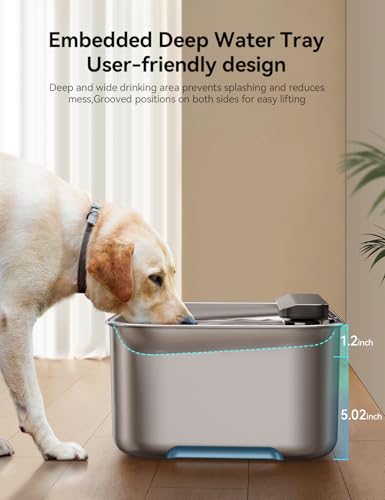 3.2Gal Stainless Steel Dog Water Fountain for Large Dog