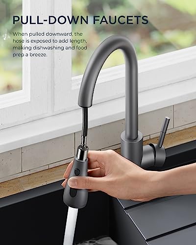 Kitchen Faucets with Pull Down Sprayer