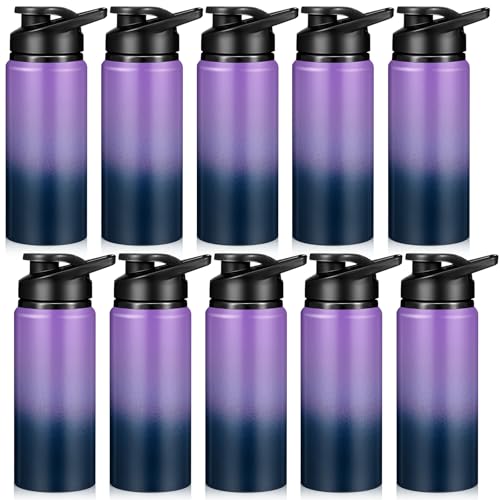 10 Pcs Aluminum Water Bottles (10 Count)