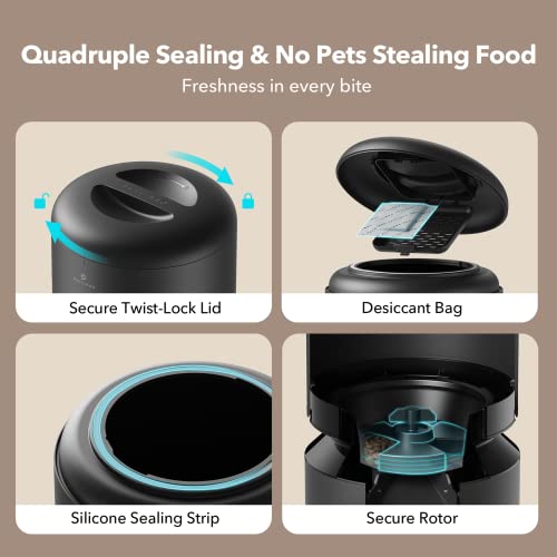 Automatic Cat Feeder