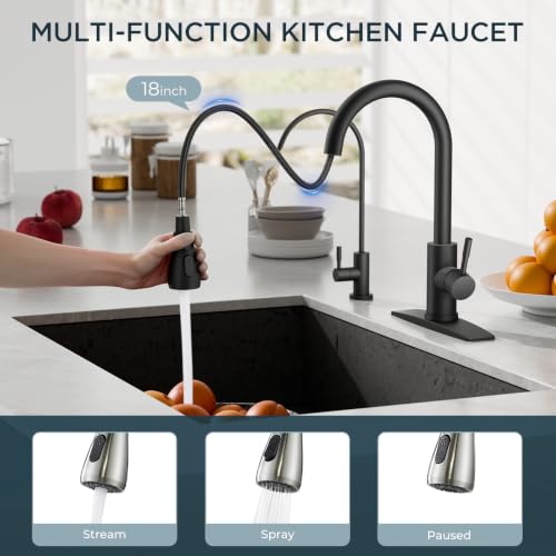Pull Down Kitchen Faucet and Water Filter Faucet