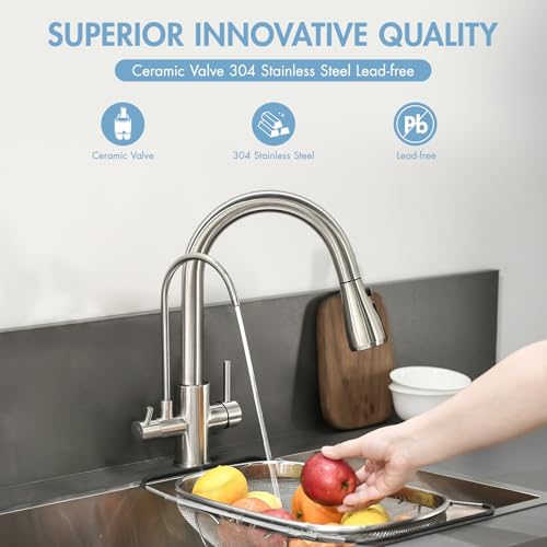 3 in 1 Kitchen Faucet with Water Filter and Pull Down Sprayer