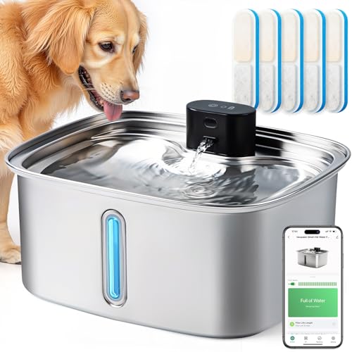 Smart Pet Water Fountain