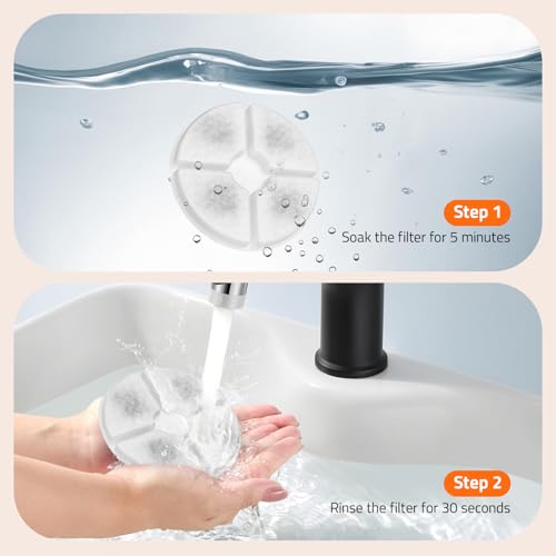 Dog Water Fountain
