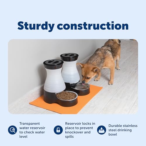 Healthy Pet Water Station