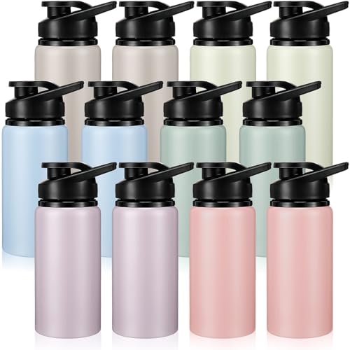 Aluminum Water Bottle Bulk (12 Count)
