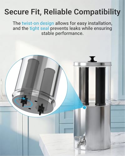 Gravity Water Filter (2 Count)