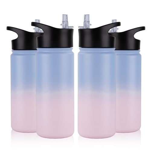 16 oz Insulated Water Bottle Bulk 4 Pack (4 Count)