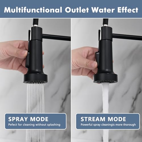Kitchen Faucet with Pull Down Sprayer Black and Nickel