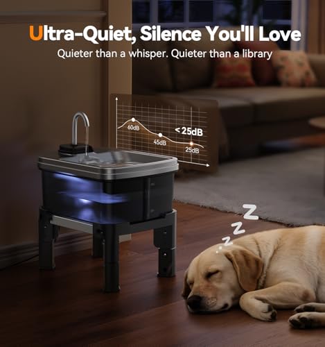 9L 2.38Gal Dog Water Fountain Elevated with 4